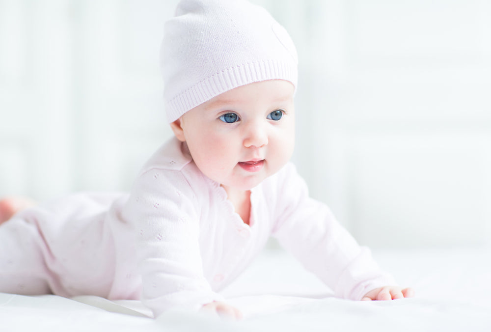Infant Sweatshirt, Onezie And Pants - 3 Pc Set