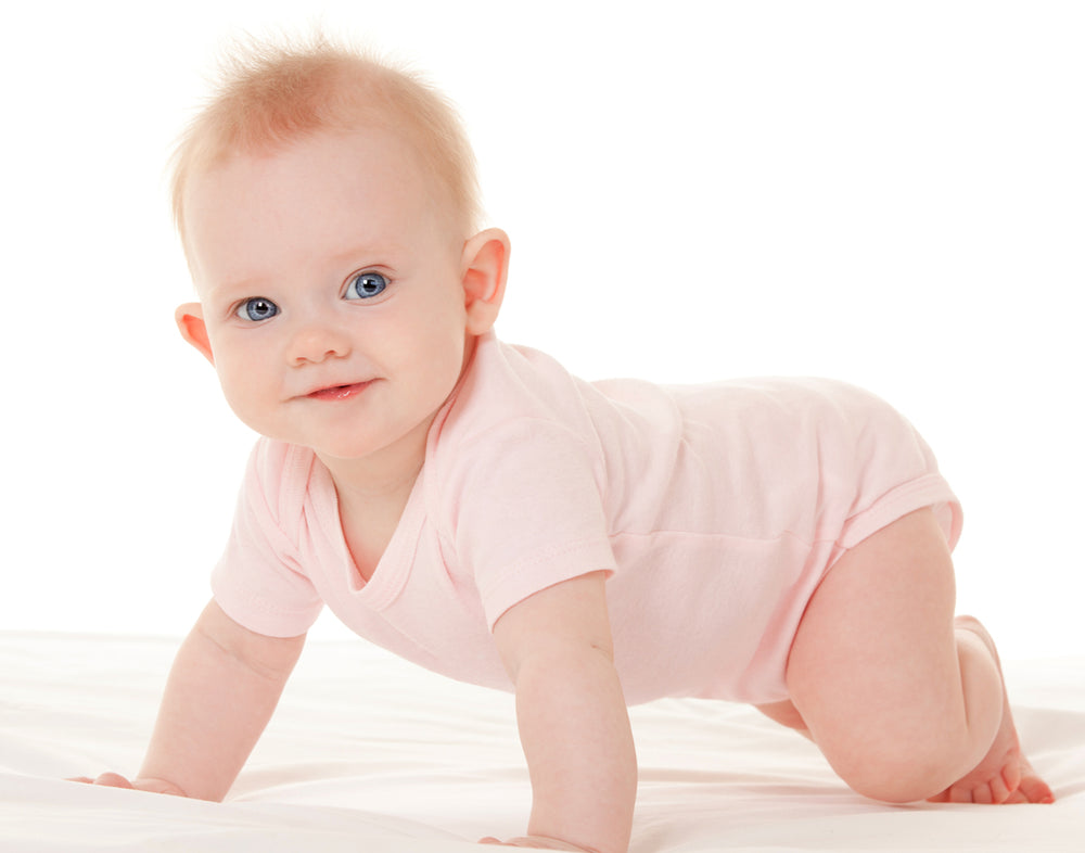 Infant Sweatshirt, Onezie And Pants - 3 Pc Set
