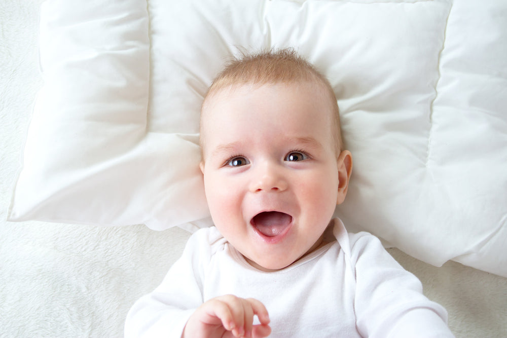Infant Boys Long Sleeve Onezies And Joggers